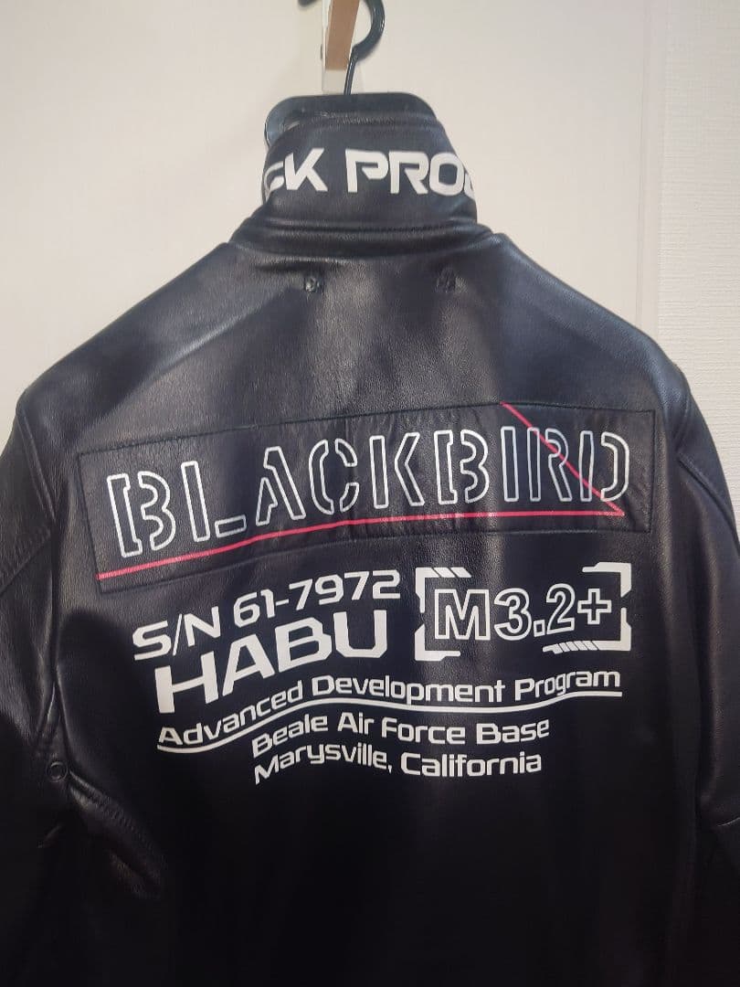 AVIREX レザージャケット ブラックバード BLACKBIRD