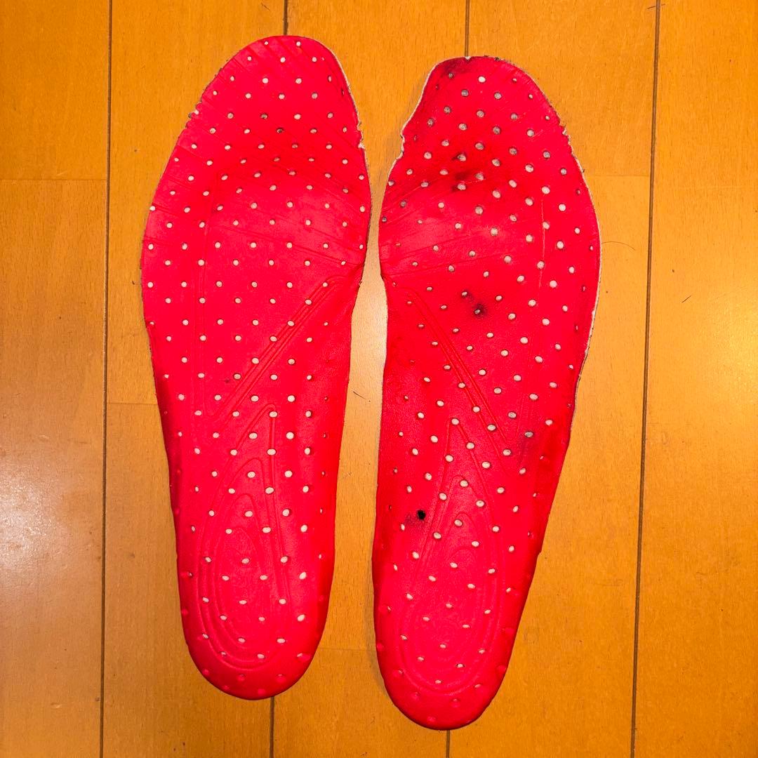 シューズ asics DS LIGHT PRO 2 LIMITED 28cm