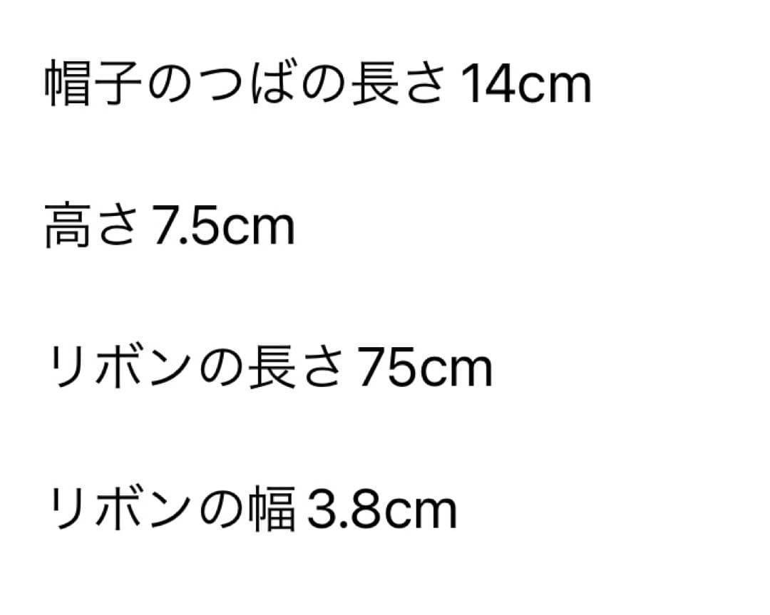 FERRUCCIO VECCHI フェリシオベッキ ワイドプリムハット 軽量美品