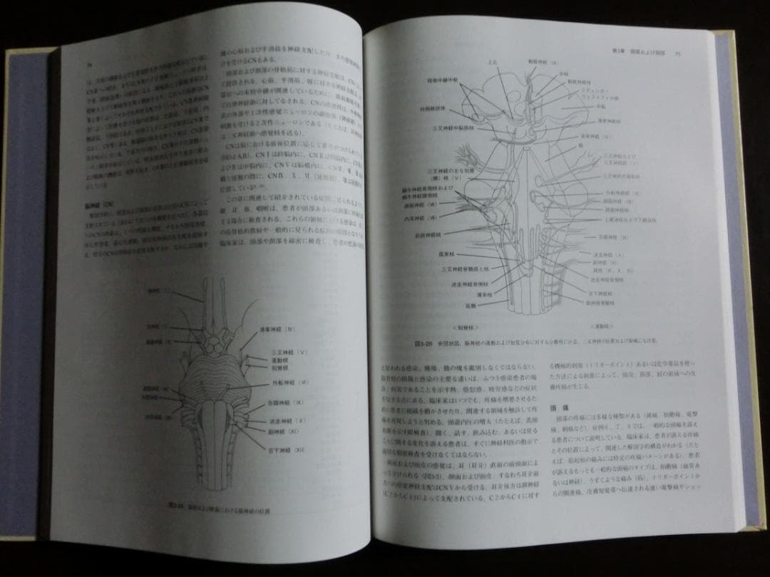 神経筋骨格障害の臨床評価