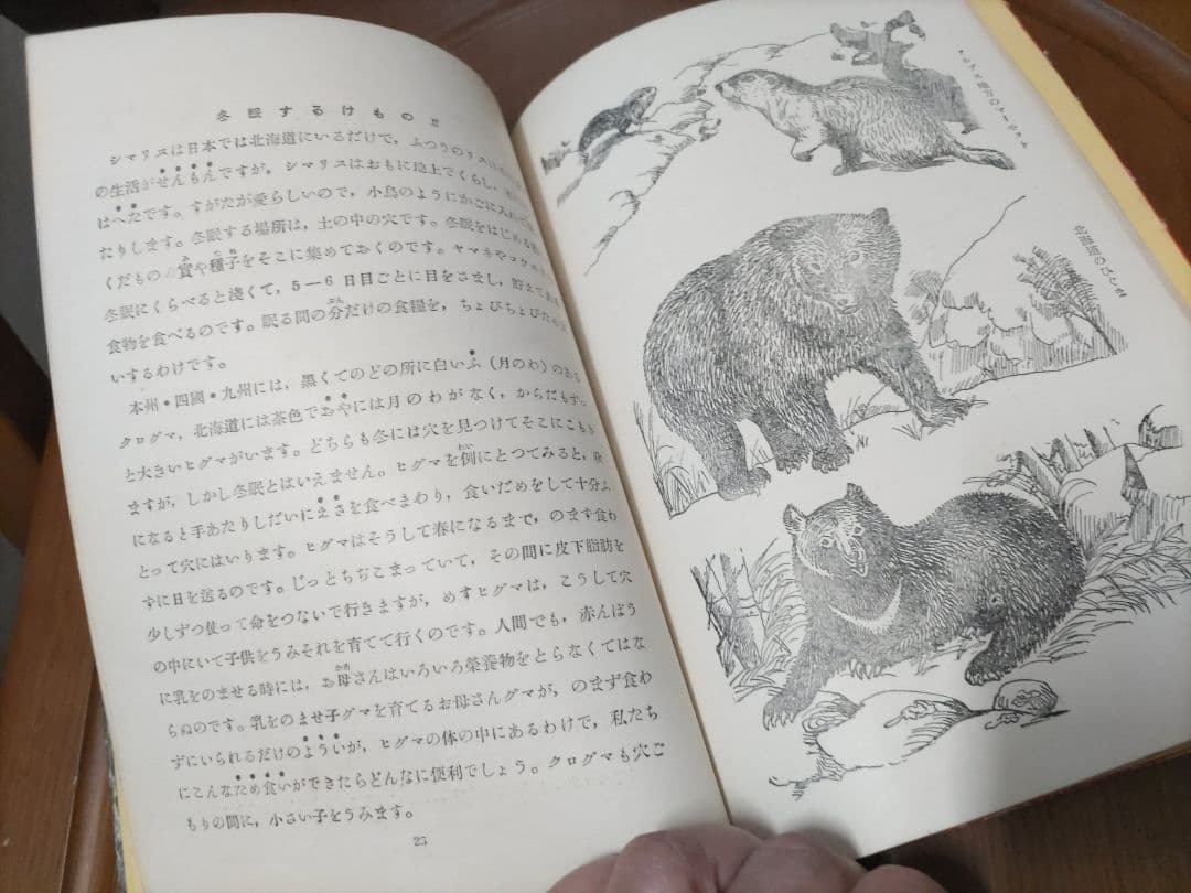 《詳細必読》動物の冬ごもり(岩崎書店「少年の観察と実験文庫 1」)