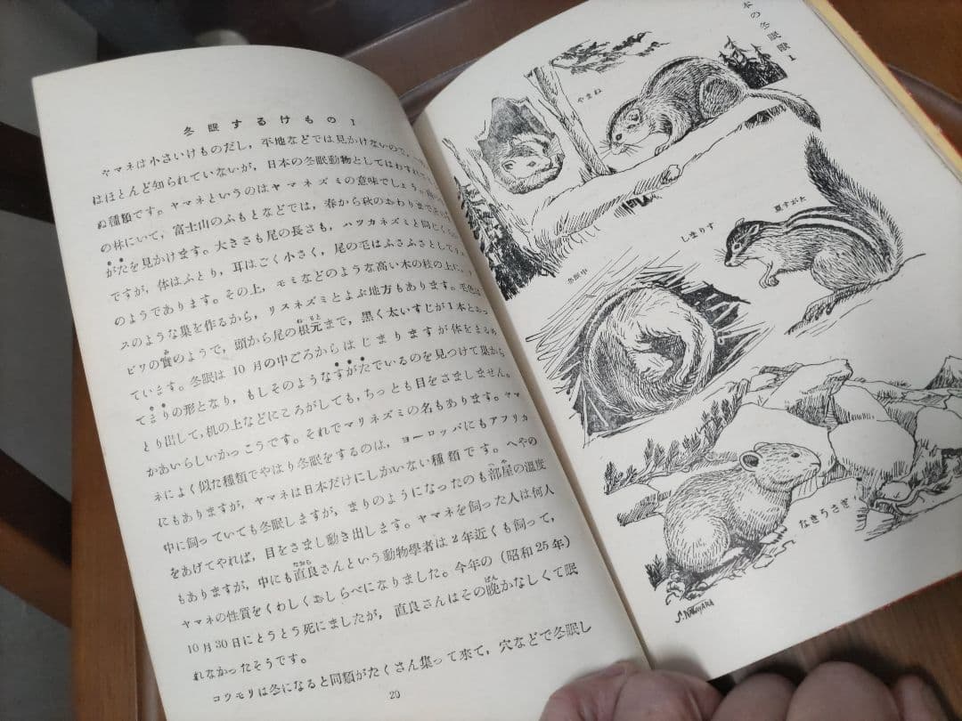 《詳細必読》動物の冬ごもり(岩崎書店「少年の観察と実験文庫 1」)