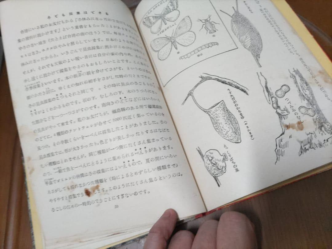 《詳細必読》動物の冬ごもり(岩崎書店「少年の観察と実験文庫 1」)