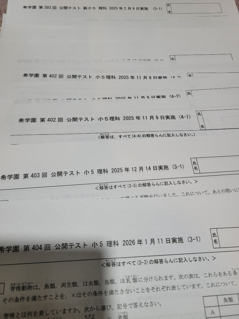 小5公開テスト資料 １２回