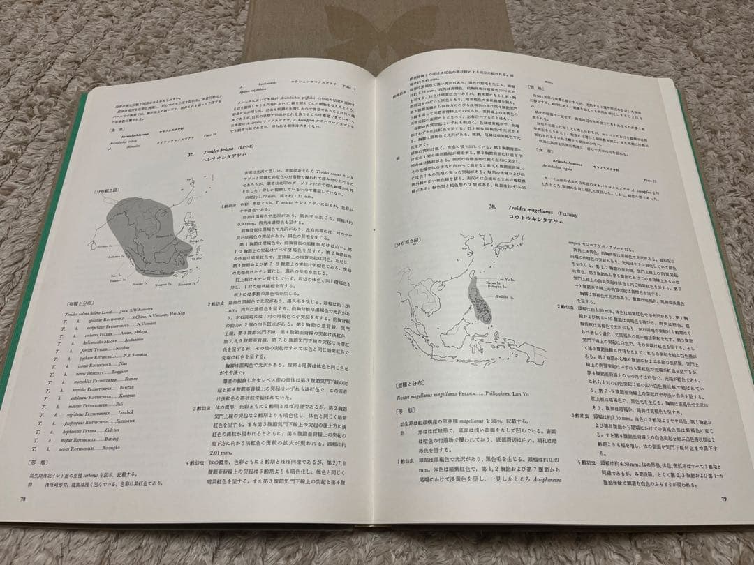 【図鑑・専門書】世界のアゲハチョウ