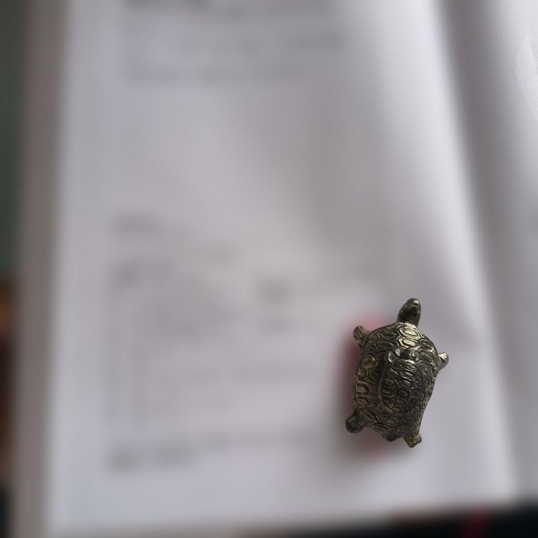 新甲骨文編
