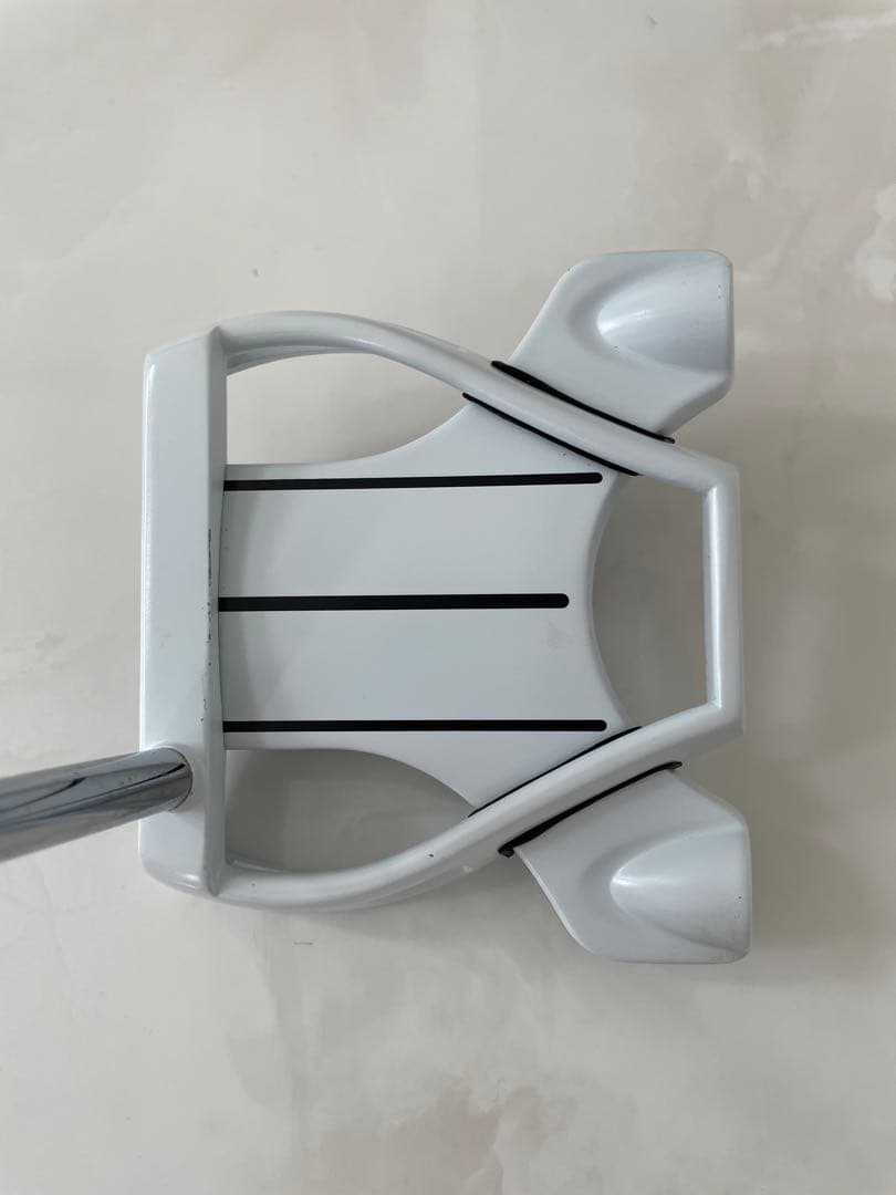 Taylor made GHOST Spider パター　34インチ