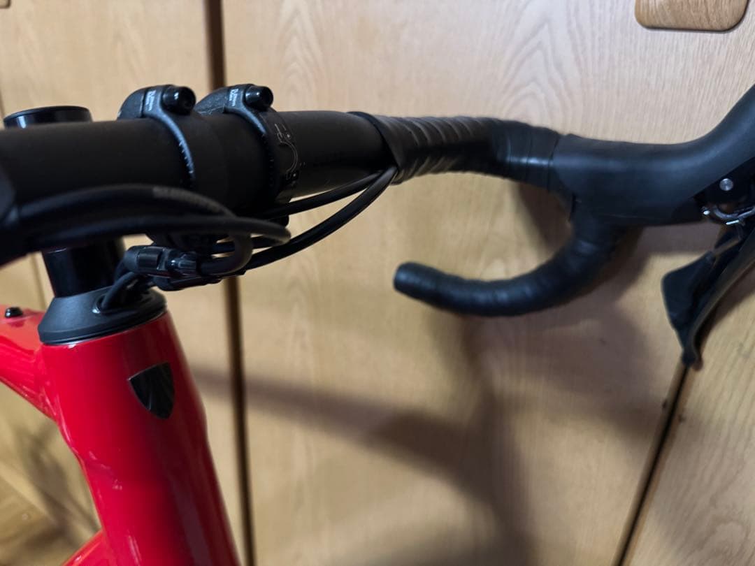新型　2024年　TREK DOMANE AL4