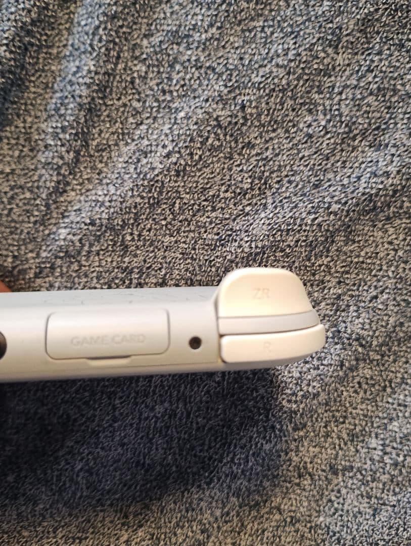 Nintendo Switch Lite 剣盾モデル