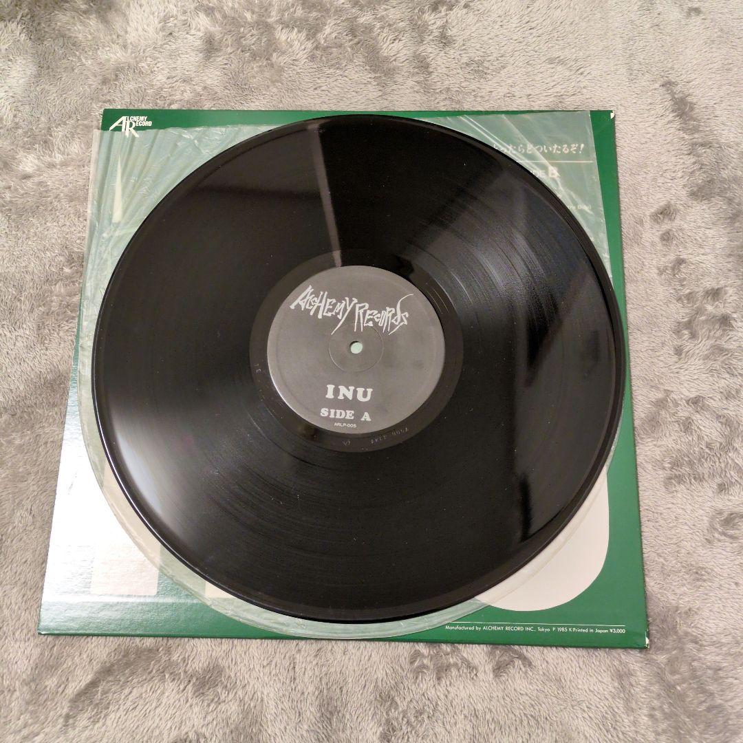 M*i様 レア　イヌ レコード