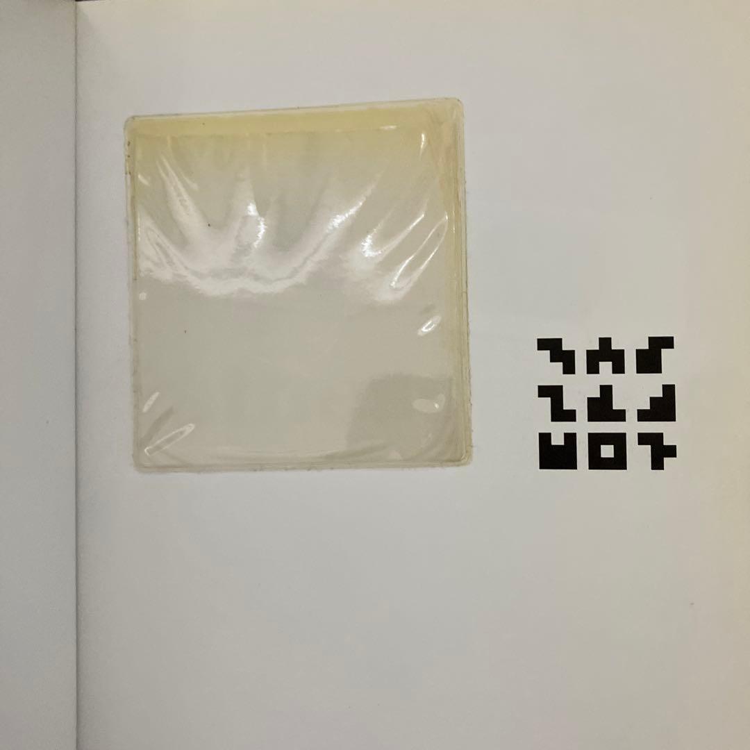 アート・デザイン・音楽 flatnessisgod Ryan McGinness
