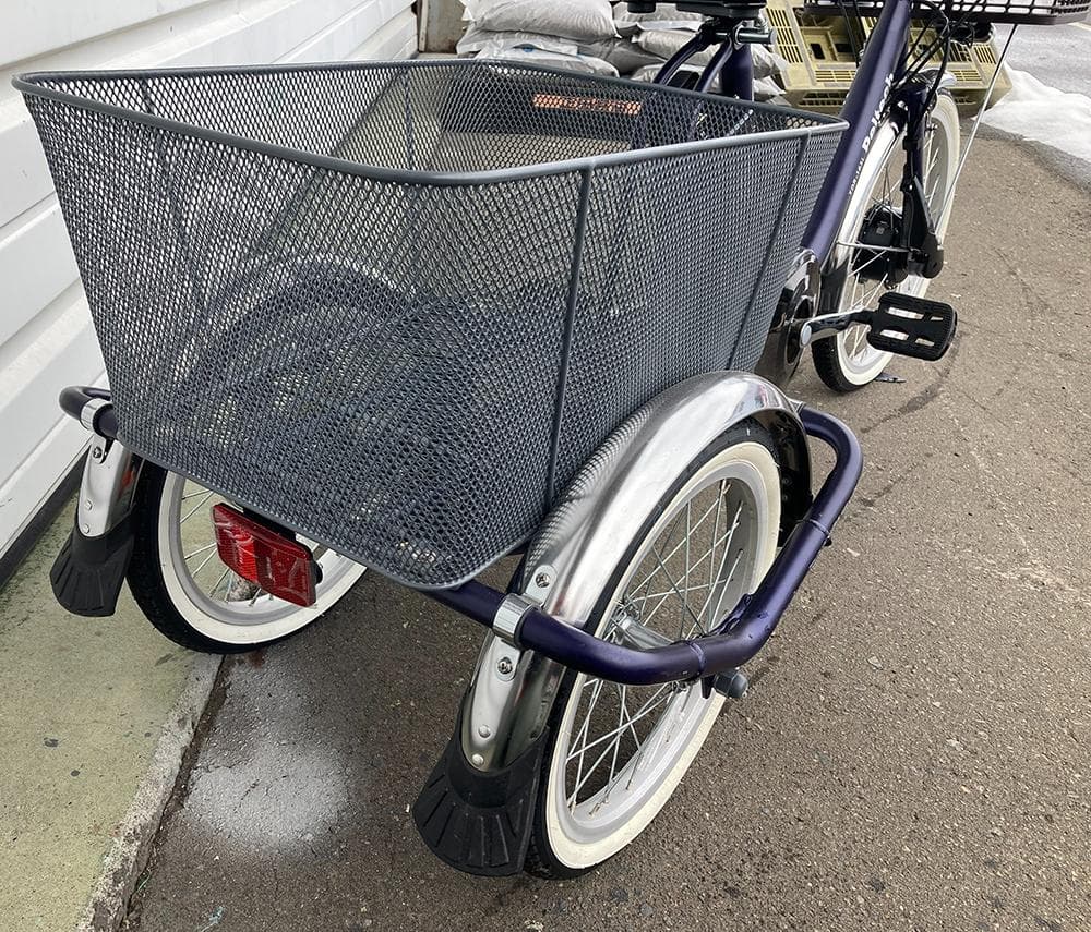 PELTECH 電動アシスト 低床三輪自転車 20/16インチ◆TDR-163L