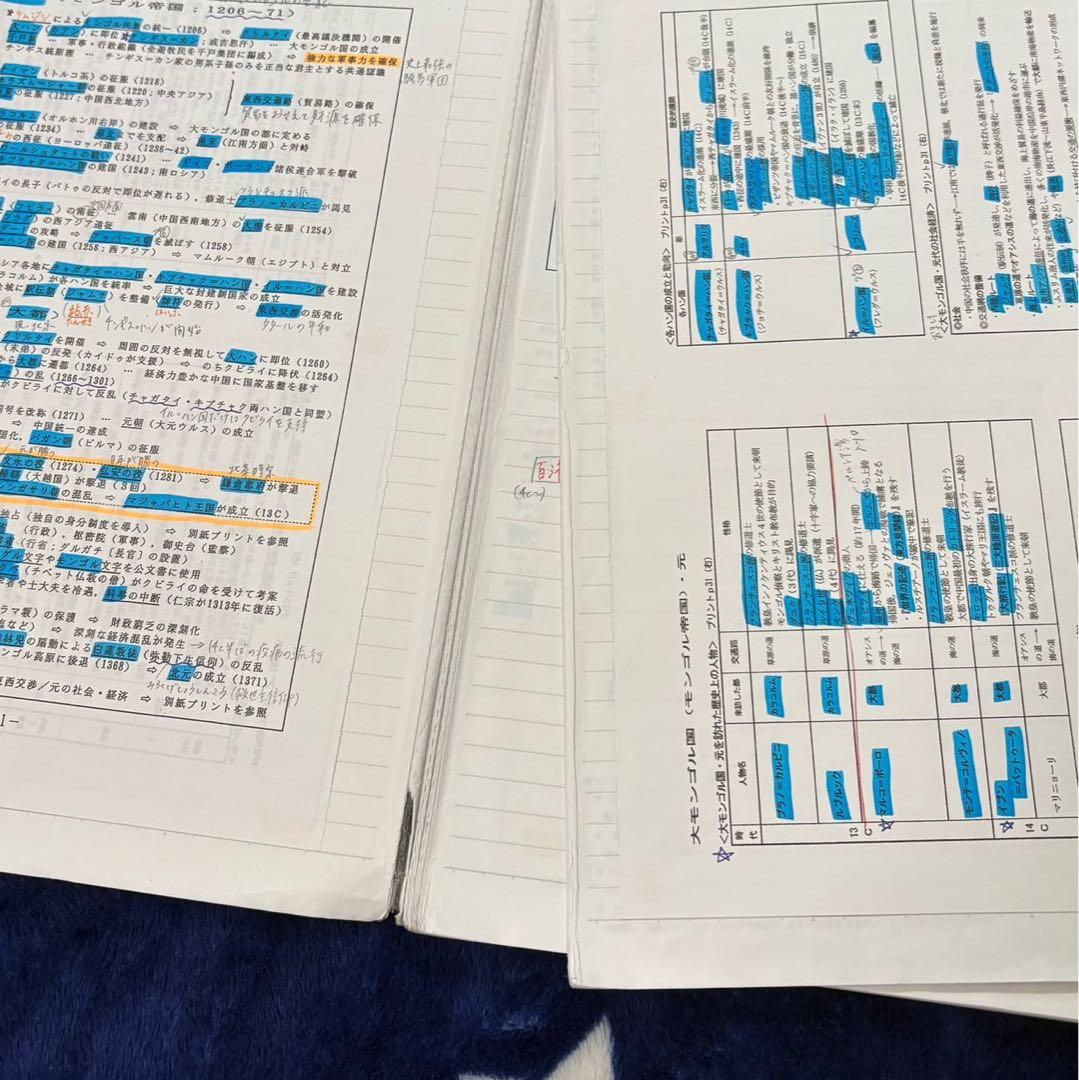 河合塾　早慶大世界史　沼田ノート