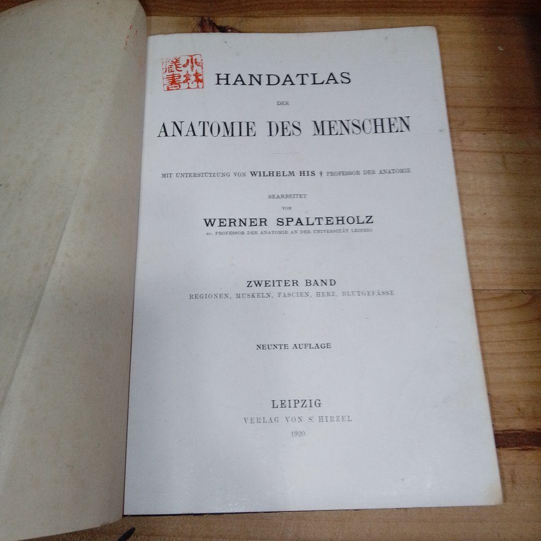 1920年 ドイツ語解剖学書 人体図譜 アンティーク医学書