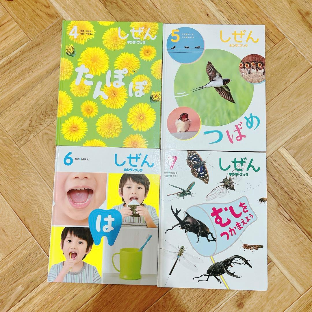 しぜん キンダーブック　12巻セット 2021年