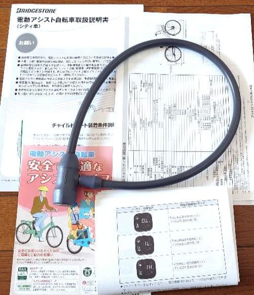 アルベルトe 27インチ 2024年新車購入 黒色 広島市安佐南区近郊　送料込み
