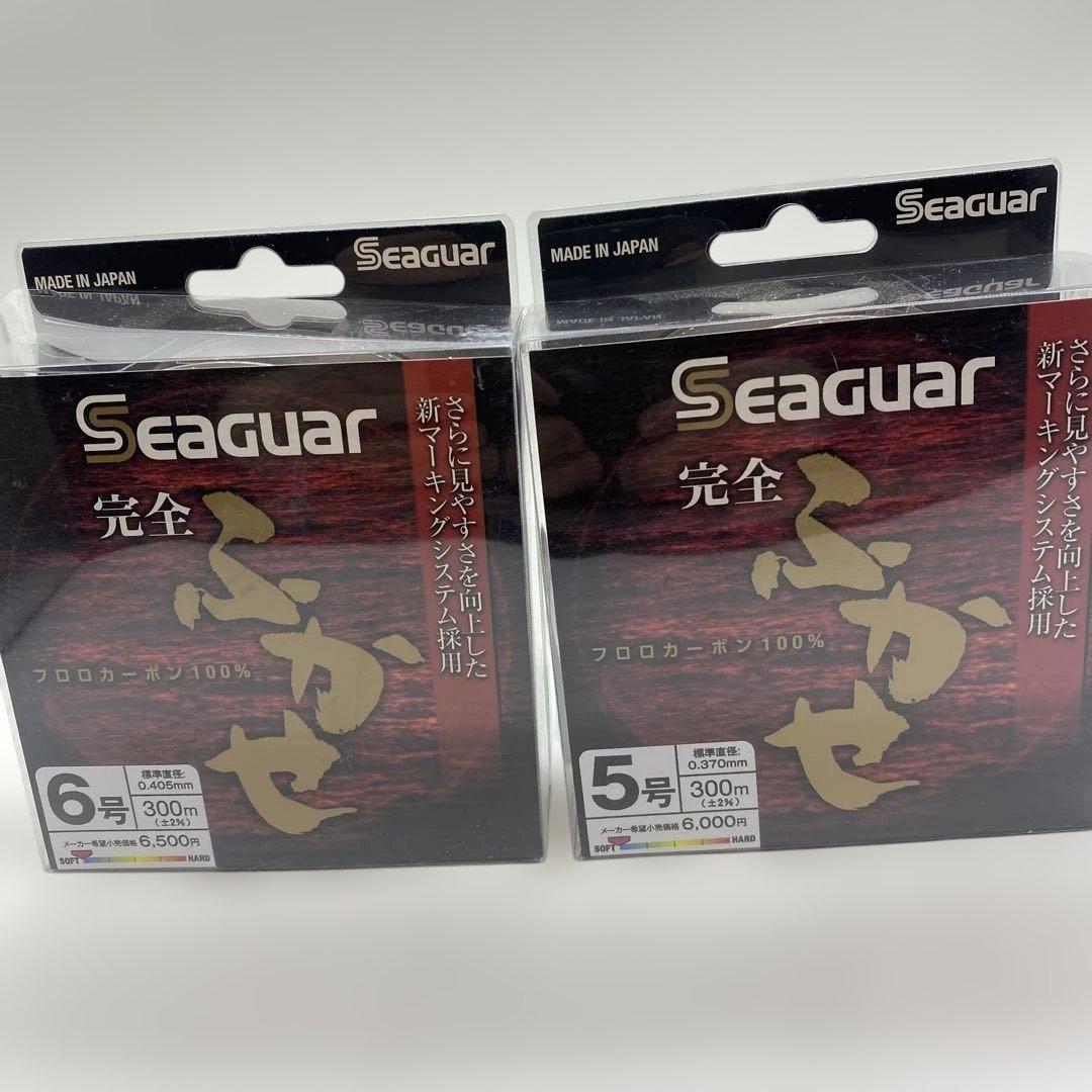 Seaguar　シーガー 完全フカセ 300m 5号 2個