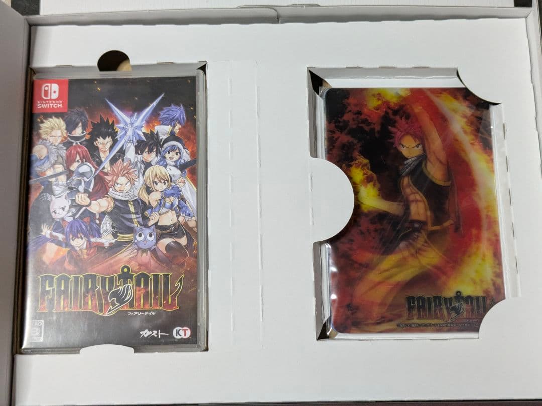 Switch FAIRY TAIL フェアリーテイル GUILD BOX
