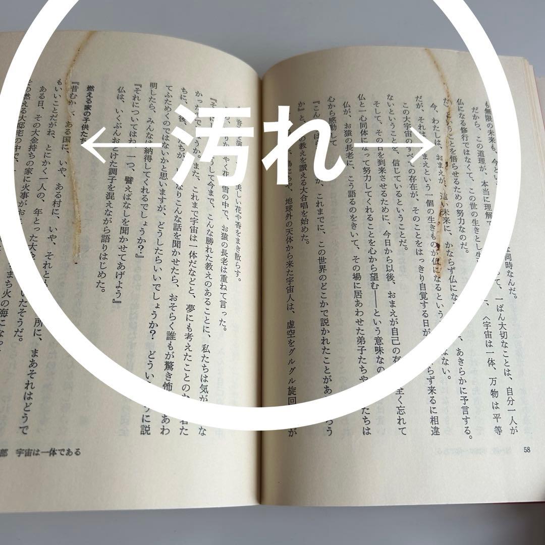 【帯付初版】 いのち きわみなし 法華経幻想 松井桃樓