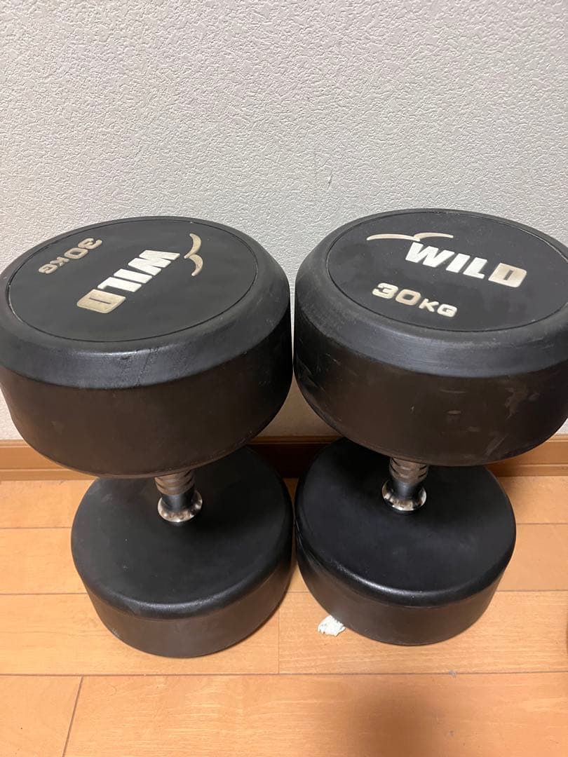 WILD 30kg ダンベル 中古品