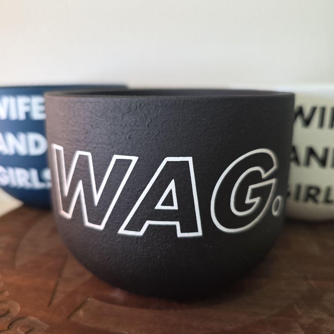 Willing plant限定 WAG.鉢未使用 3色セット