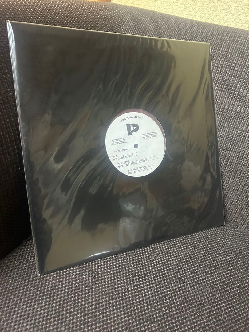 DISH LABEL IN POSSIBL 未開封　DLiP RECORDS