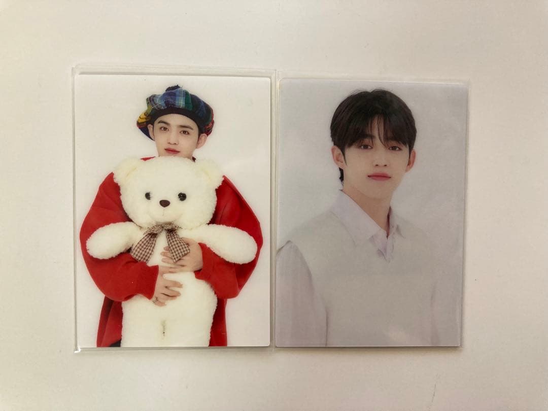 SEVENTEEN セブチ エスクプス トレカ