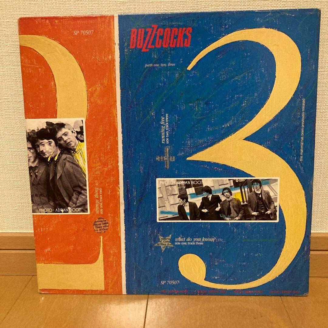 BUZZCOCKS バズコックス LPレコード　３枚セット！【名盤】