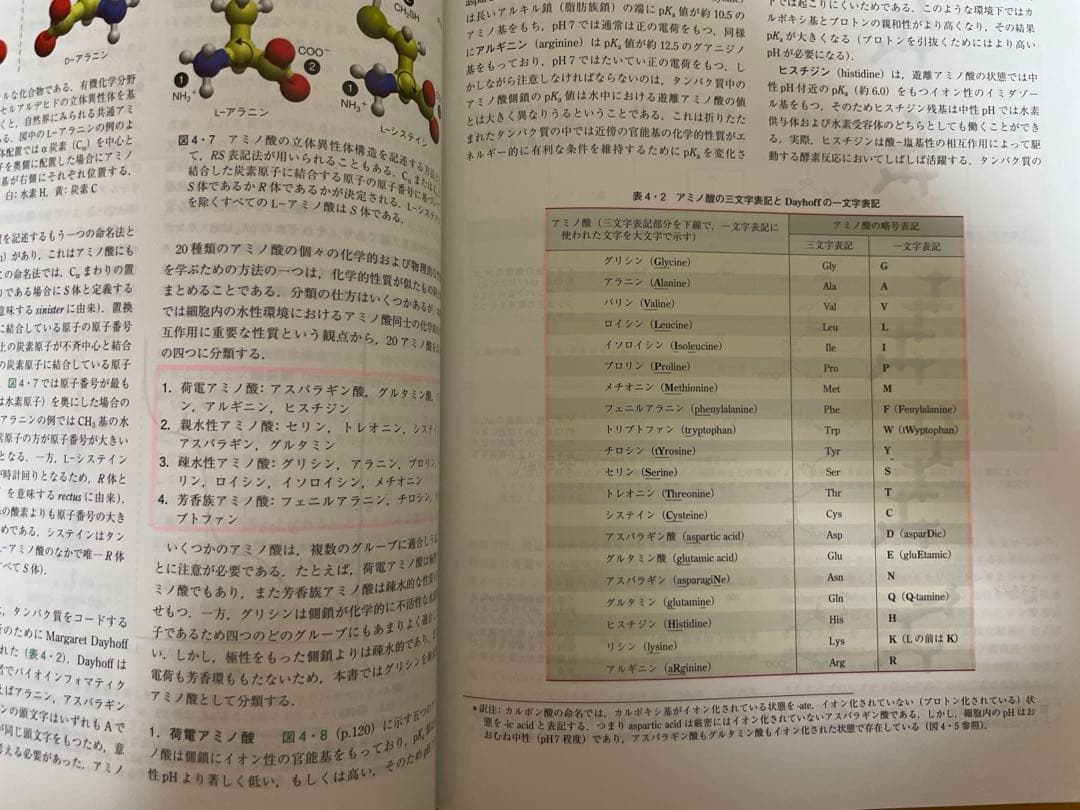 ミースフェルド　生化学