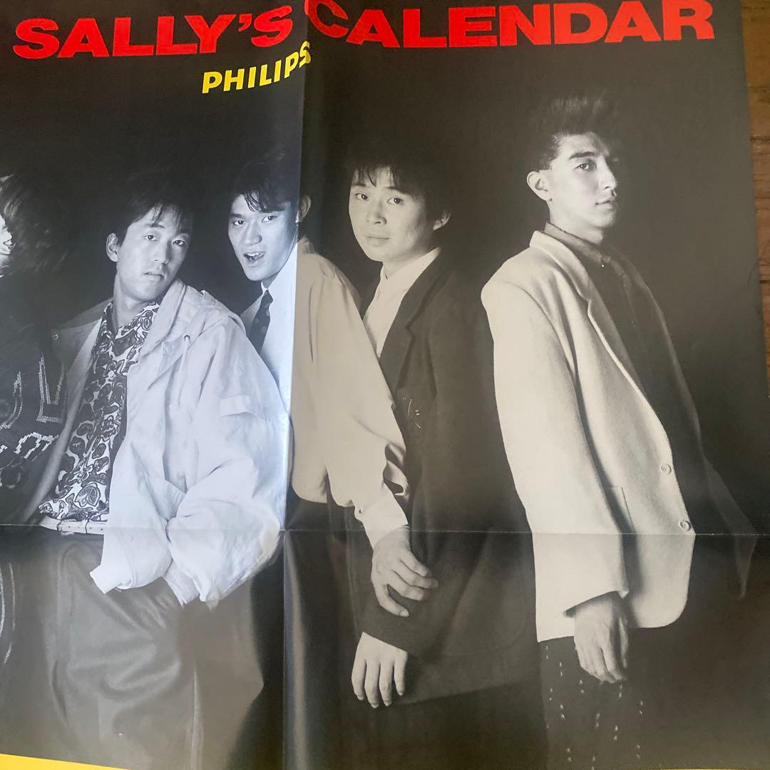 SALLY サリー THE BEST LP レコード