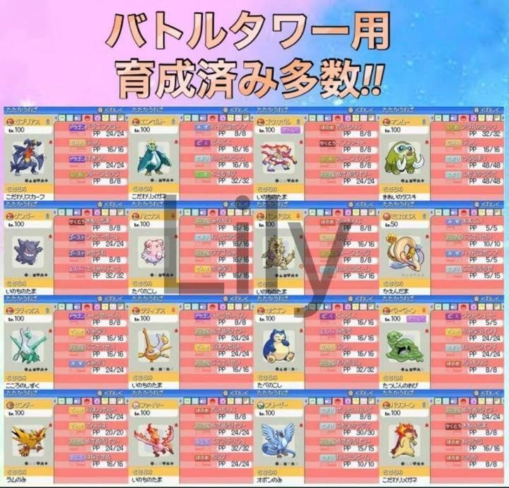 ポケットモンスター ソウルシルバー　ケース付き