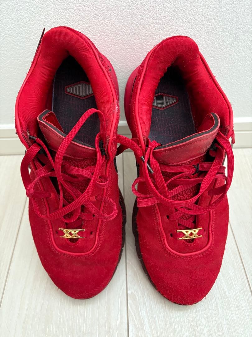 シューズ(男性用) LEBRON XX EP