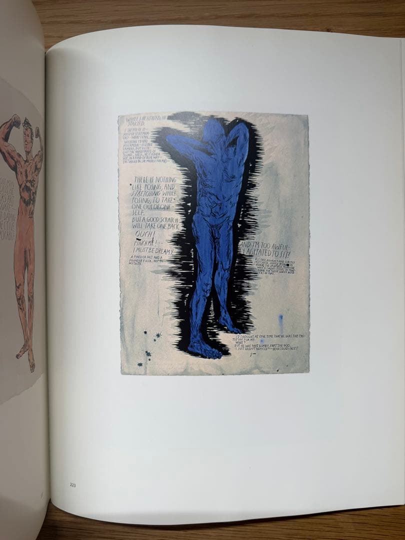 【希少本】Raymond Pettibon V-Boom ペティボン