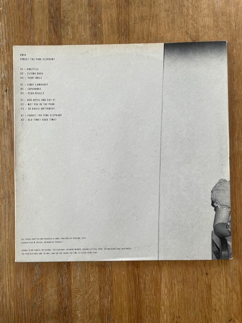 その他 Dwig Forget The Pink Elephant 2LP 12\"