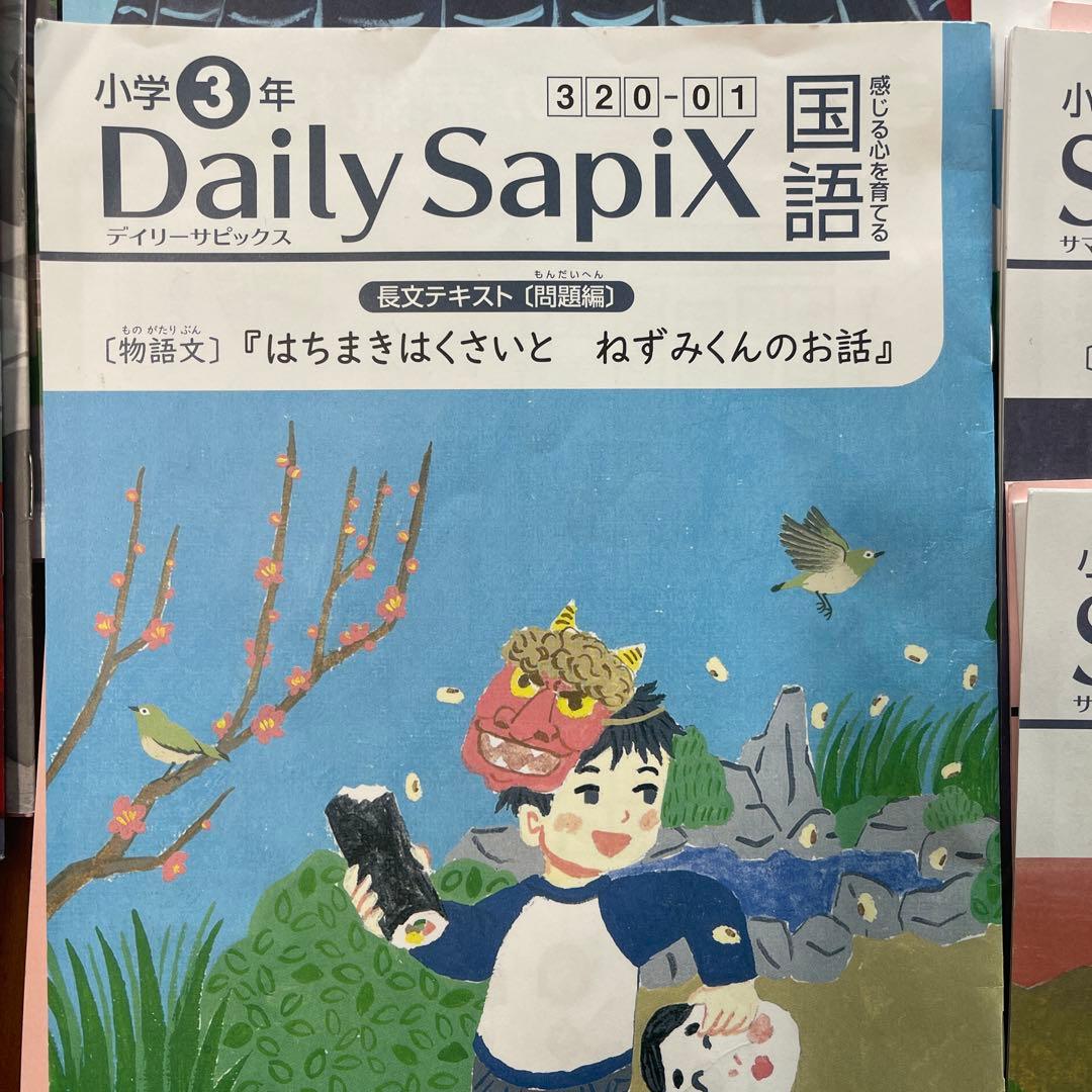 サピックス　国語　3年生 Daily・Winter・Summerセット