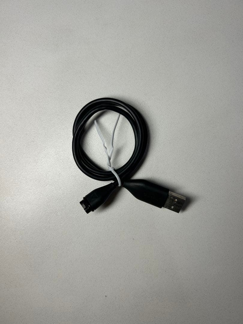 ラウンド用品・アクセサリー GARMIN APPROACH S62