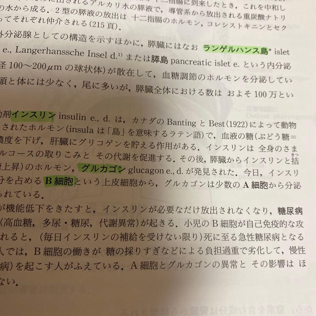 人体解剖学