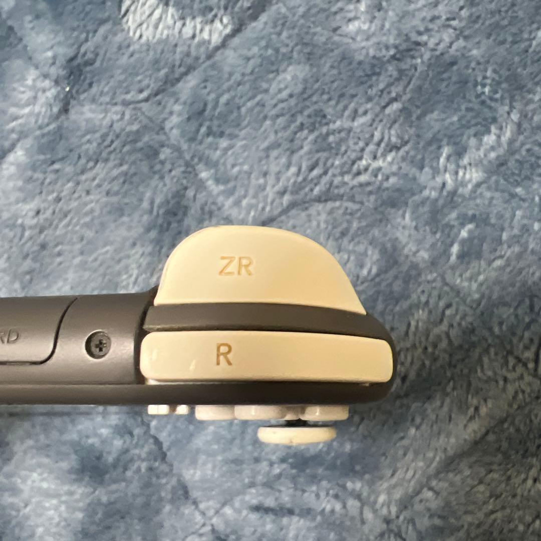 Nintendo Switch Liteジャンク品　充電器付き