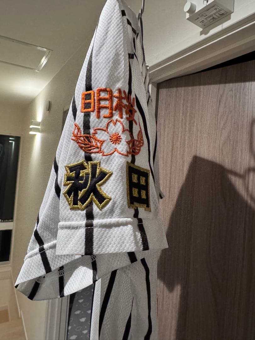 明桜高校 野球ユニフォーム上下
