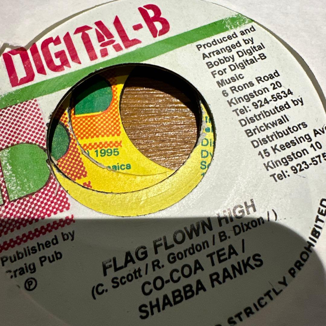 デジタルB レコード