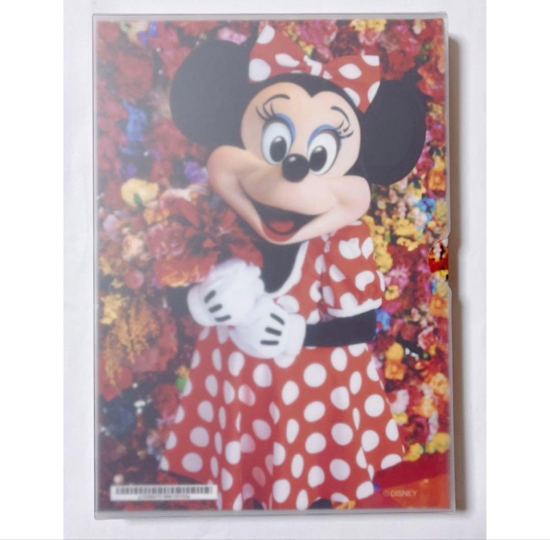 ディズニー 35周年 イマジニングザマジック 実写 写真集 トート 蜷川実花