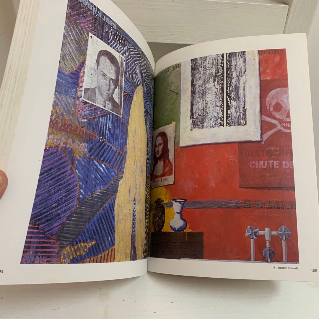 Jasper Johns ジャスパー・ジョーンズ1984年 初版 画集 BOOK