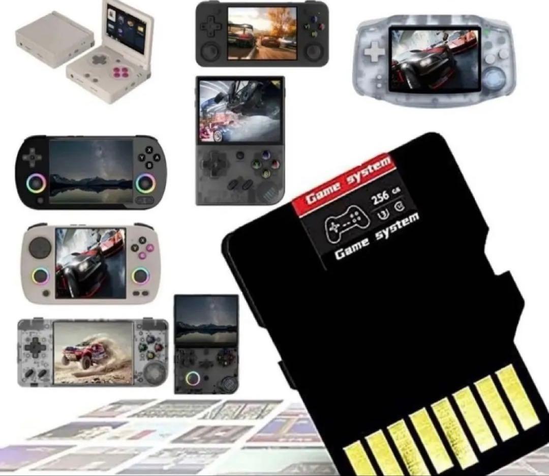 256GB 日本語版 ゲームカード
