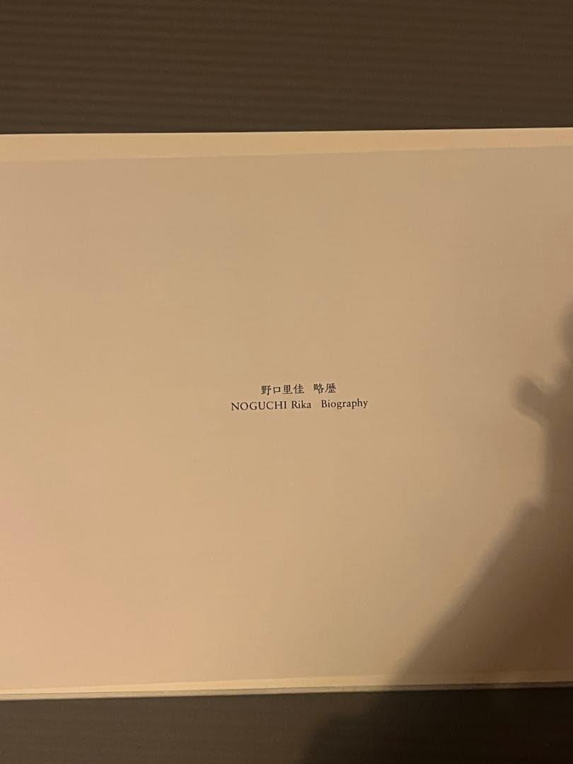 野口里佳 写真集 The Sun