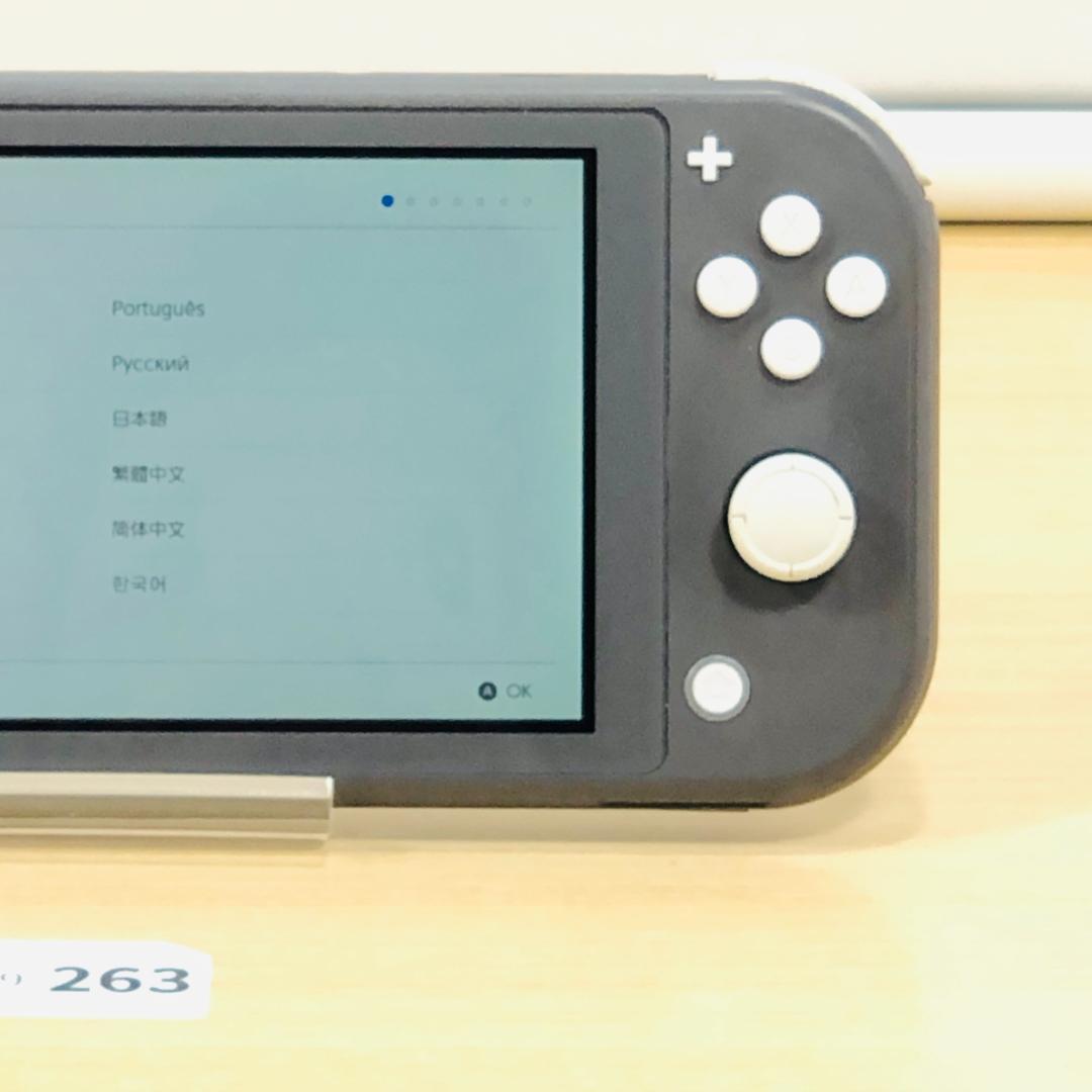 [動作OK] Nintendo Switch Lite グレー 本体 9-263