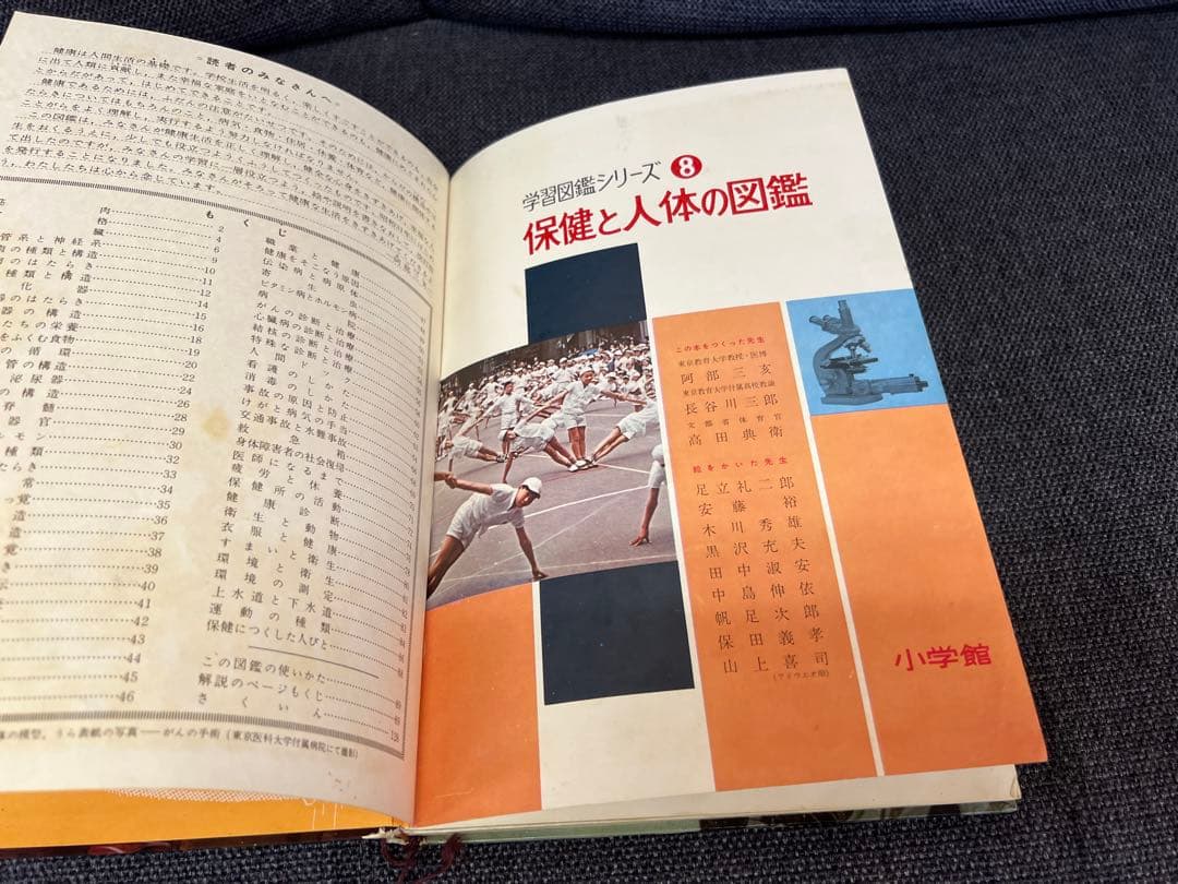 学習図鑑シリーズ5冊 昆虫 動物 鳥類 魚貝 保健と人体 1960年　本　絵本
