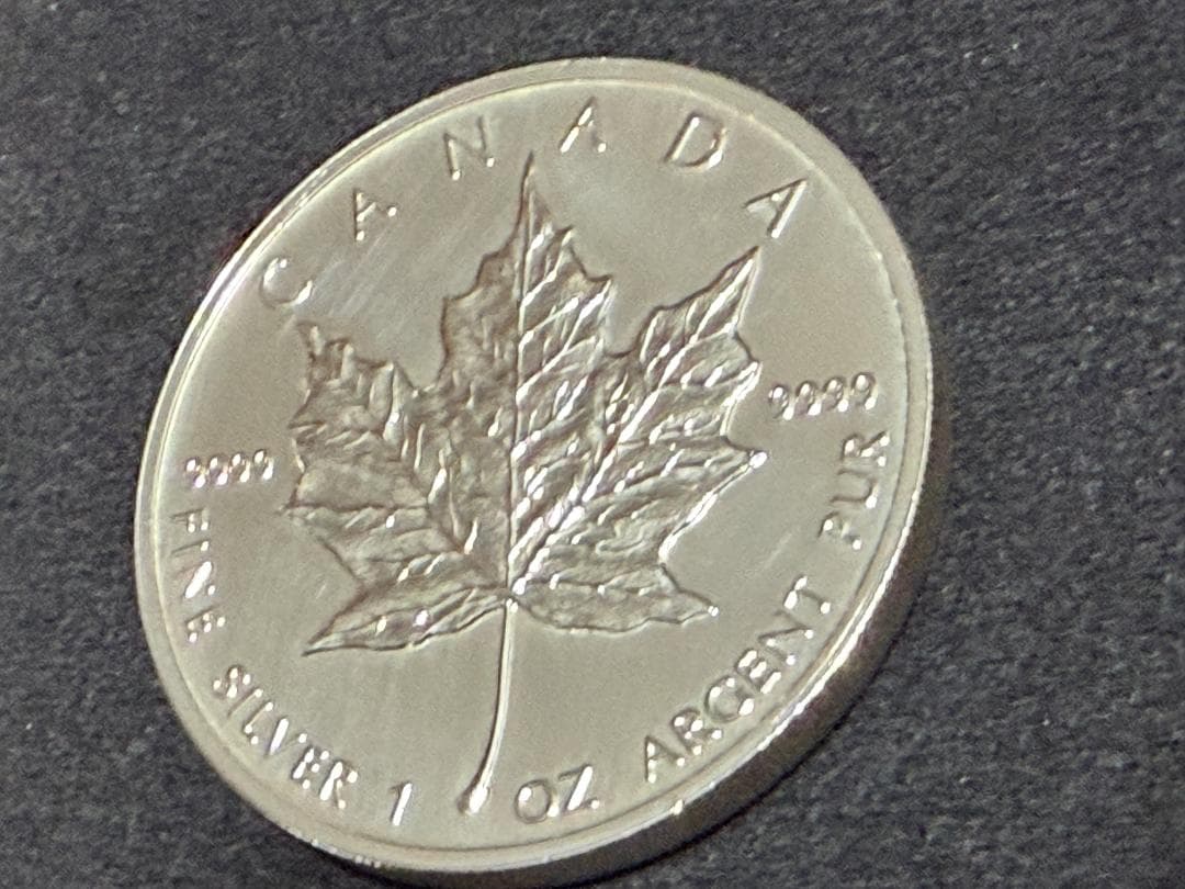 メイプルリーフ銀貨 1991年 カナダ 5ドル 純銀硬貨