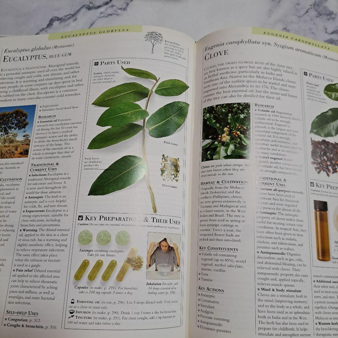 the Encyclopedia of Medicinal Plants 洋書