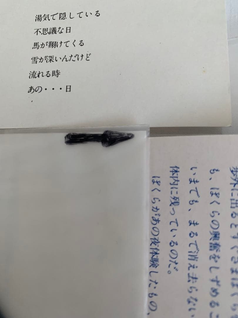 1973921SHOWBOAT素晴らしき船出