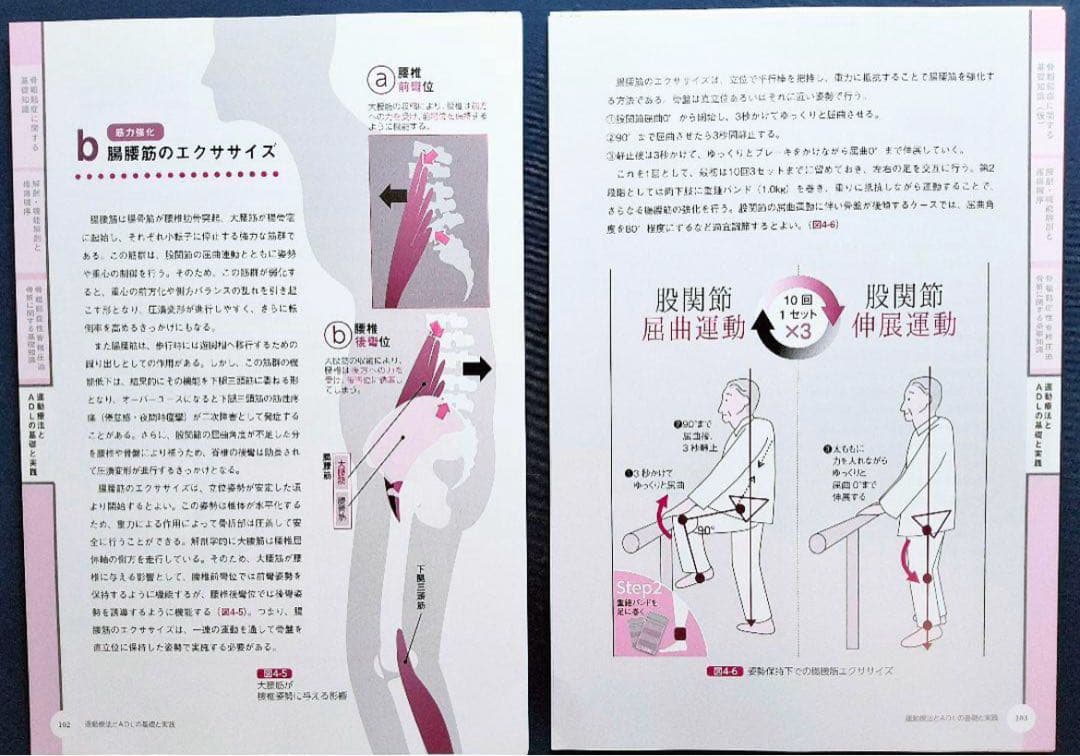 骨粗鬆症を原因とした 脊椎圧迫骨折の病態理解と運動療法